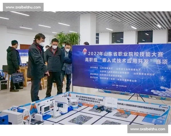 以体育团队发展为核心推动青少年培养与职业联赛协同创新路径研究一 以体育团队发展为核心推动青少年培养与职业联赛协同创新路径研究一